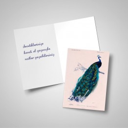 Tavuskuşu - Tebrik kartı